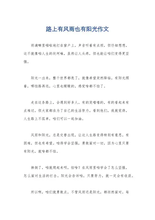 路上有风雨也有阳光作文