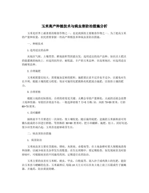 玉米高产种植技术与病虫害防治措施分析