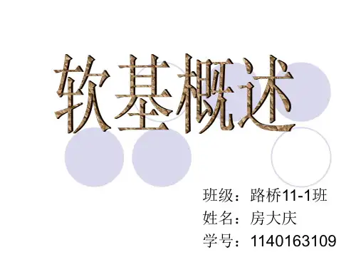 软基概述