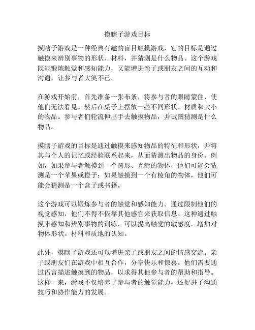 摸瞎子游戏目标