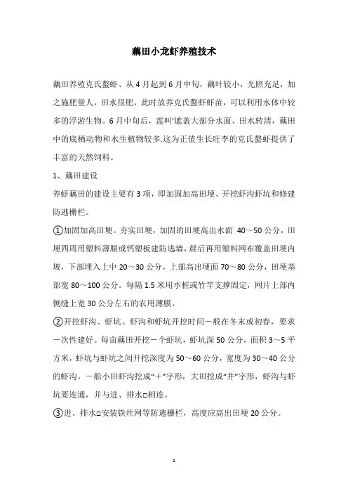 藕田小龙虾养殖技术