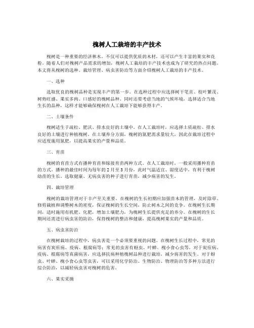 槐树人工栽培的丰产技术