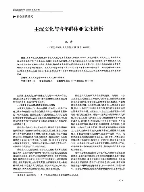 主流文化与青年群体亚文化辨析