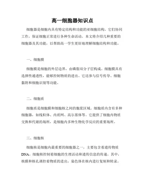高一细胞器知识点