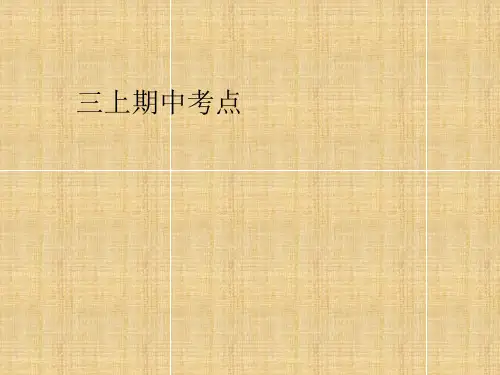 三年级上册期中考点复习课件(共19张PPT)