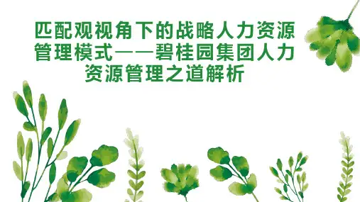 匹配观视角下的战略人力资源管理模式碧桂园集团人力资源管理之道解析