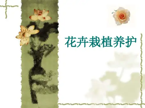 【精品课件】花卉栽培养护_演示文稿.ppt
