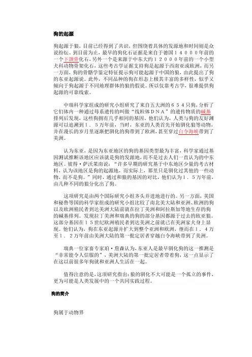 狗的起源