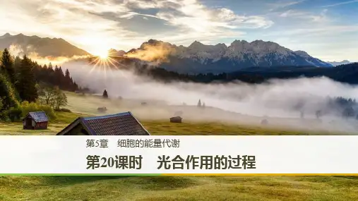 (完整)版： 光合作用的过程精品PPT资料精品PPT资料
