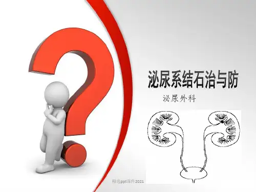 泌尿系结石健康教育PPT课件