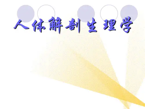 尿的生成与排出10章