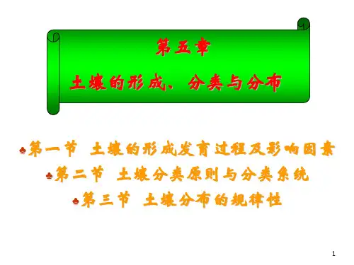 土壤的形成发育过程及影响因素ppt课件