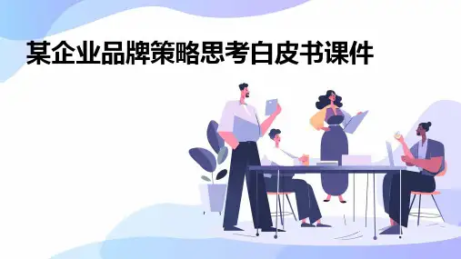 某企业品牌策略思考白皮书课件