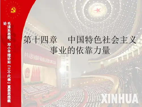 毛邓三课件 十四章依靠力量