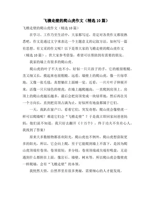 飞檐走壁的爬山虎作文(精选10篇)