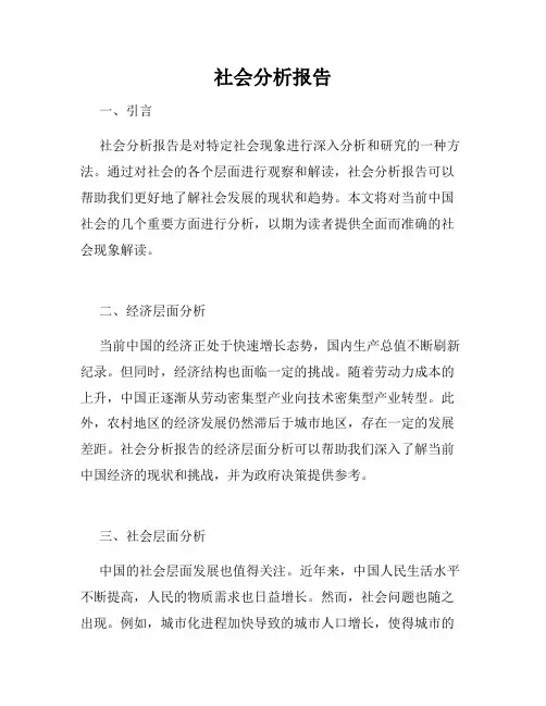 社会分析报告