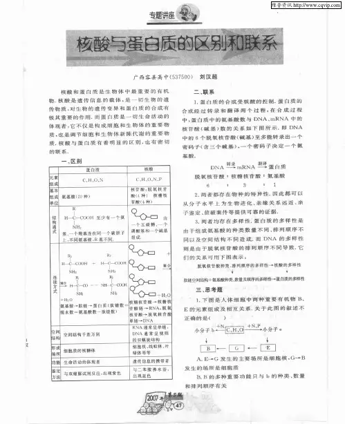 核酸与蛋白质的区别和联系
