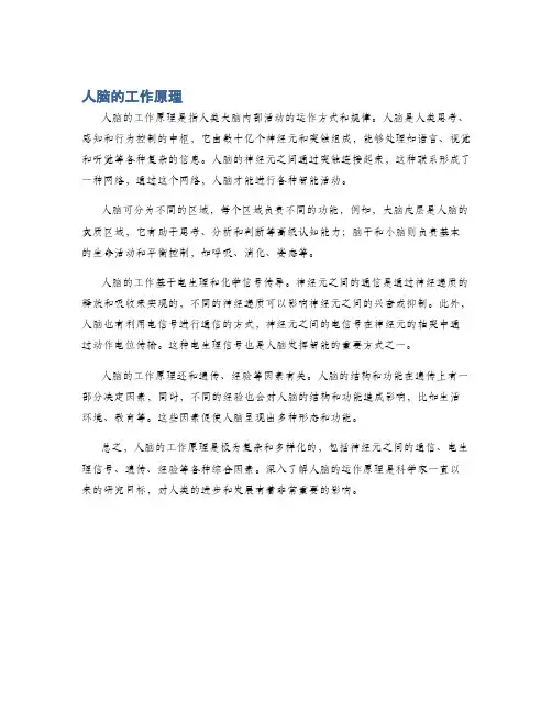 人脑的工作原理