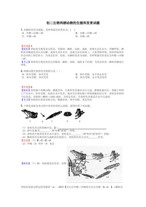 初二生物两栖动物的生殖和发育试题
