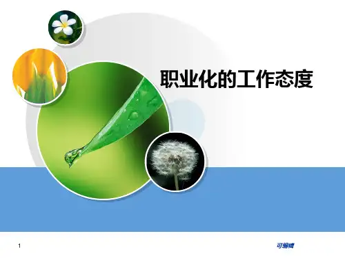 职业化工作态度PPT课件