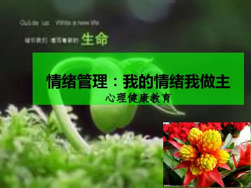 情绪管理我的情绪我做主ppt课件