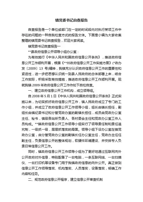 镇党委书记自查报告