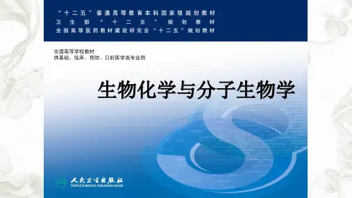 第八版生物化学与分子生物学DNA的生物合成课件