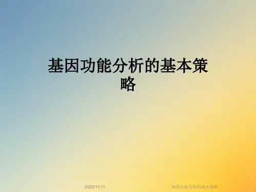 基因功能分析的基本策略