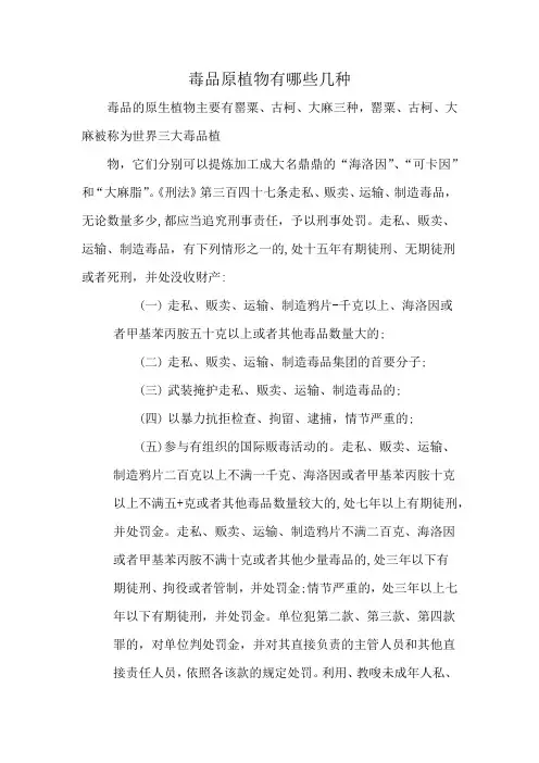 毒品原植物有哪些几种