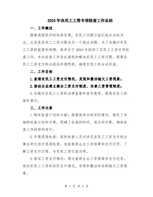 2024年农民工工资专项检查工作总结