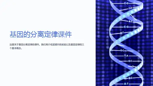 基因的分离定律课件