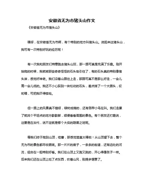 安徽省无为市猪头山作文