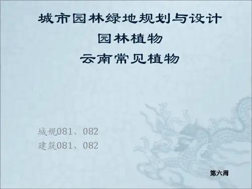 云南常见植物