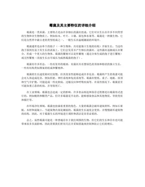 霉菌及其主要特征的详细介绍