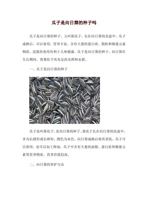 瓜子是向日葵的种子吗