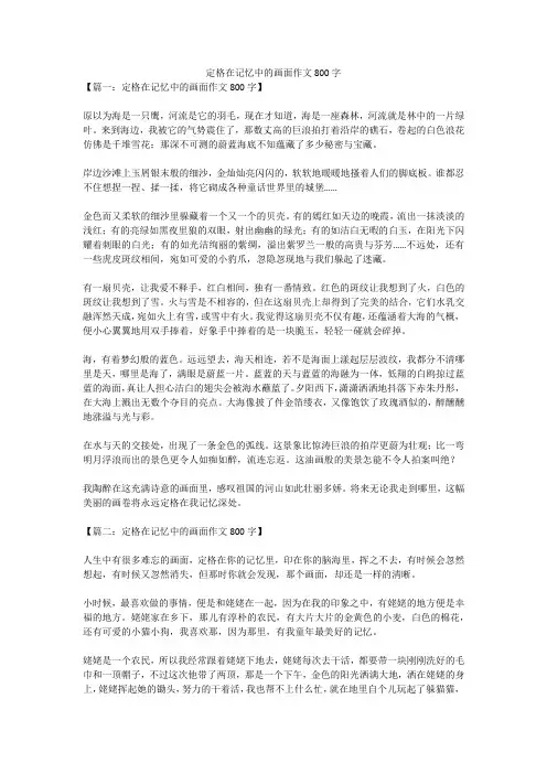 定格在记忆中的画面作文700字
