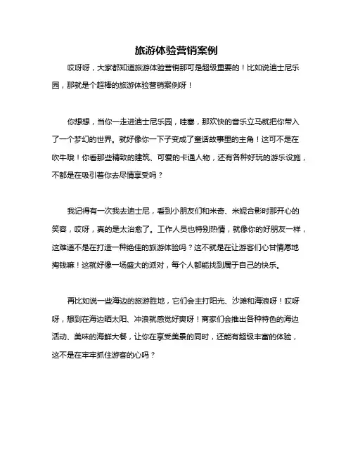 旅游体验营销案例