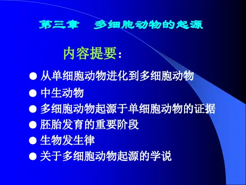 (完整版)3.多细胞动物的起源