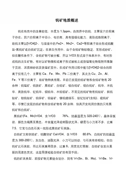 钨矿地质概述