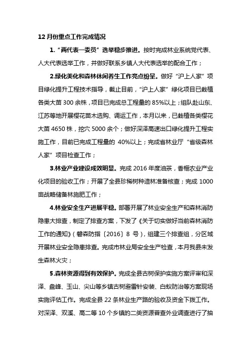 12月份重点工作完成情况
