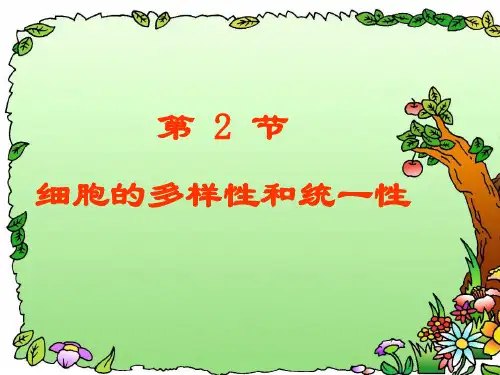 人教版高中生物必修一1.2细胞的多样性和统一性 课件 (共38张PPT)