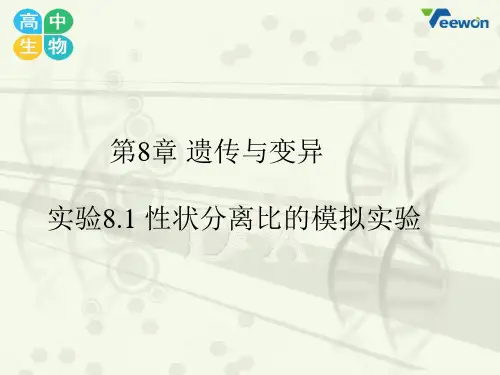 实验81性状分离比的模拟实验教学