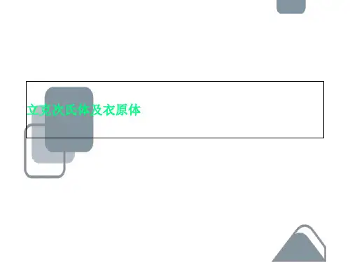 立克次氏体及衣原体