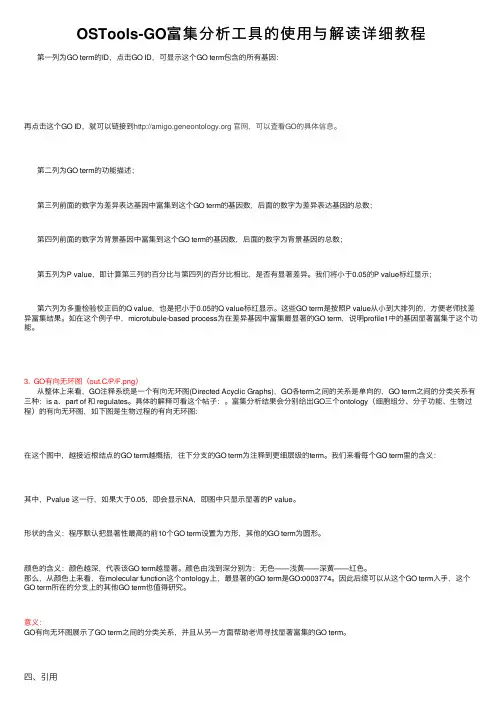 OSTools-GO富集分析工具的使用与解读详细教程