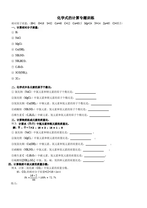 化学式的计算专题训练 浙教版八年级下册科学 