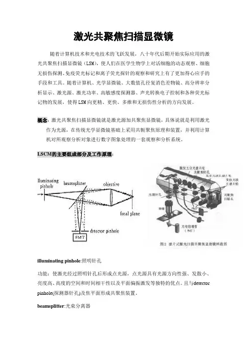 激光共聚焦扫描显微镜