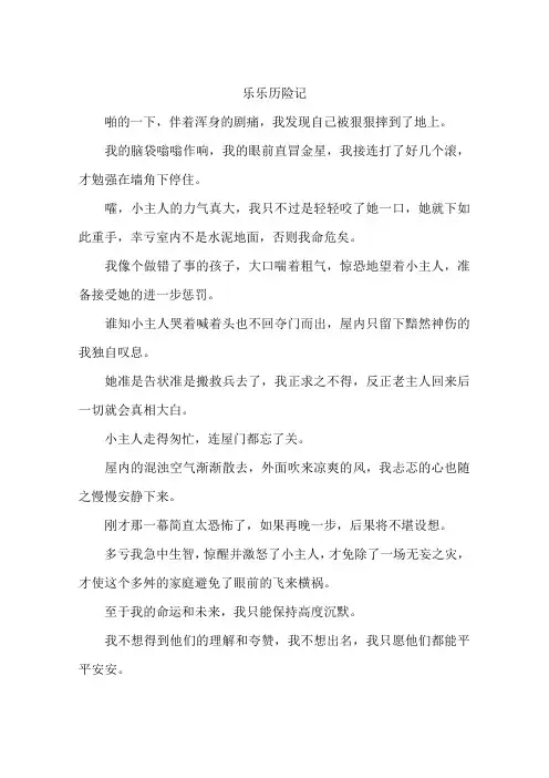 乐乐历险记-作文