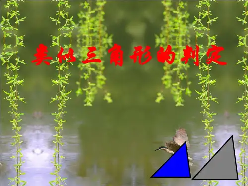 2相似三角形的判定PPT课件(沪科版)