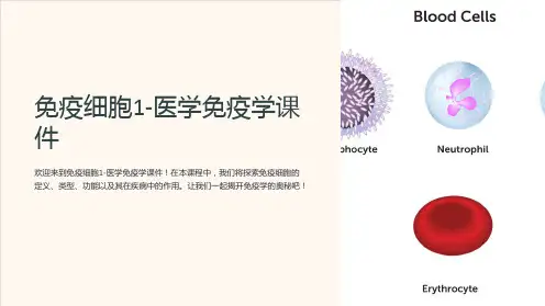 免疫细胞1-医学免疫学课件