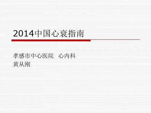 2014年中国心衰指南